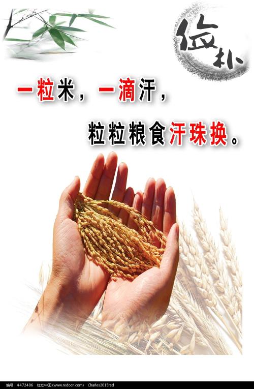 坎贝斯维尔大学硕士学位证